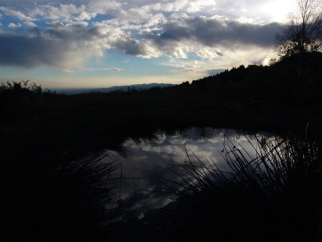 Italia, Mottarone, 1450 m. - caterina 