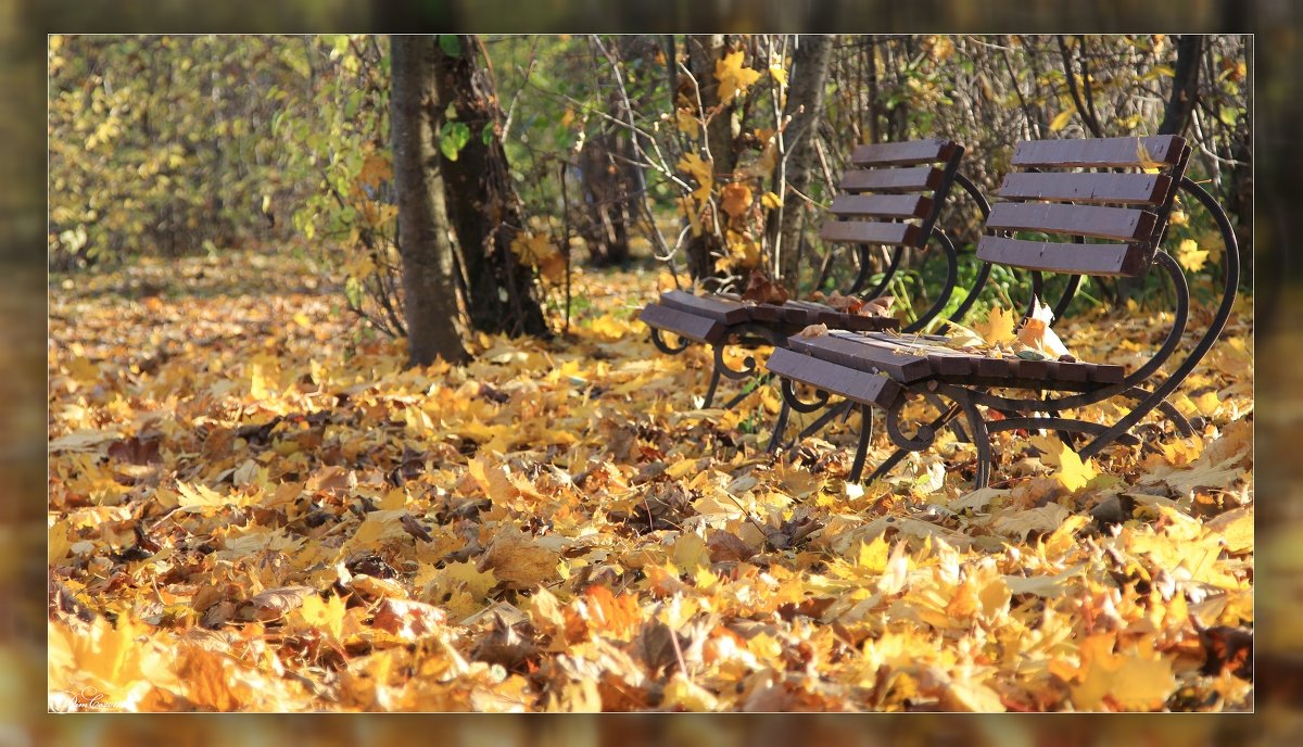 Осенний бриз - Dimсophoto ©