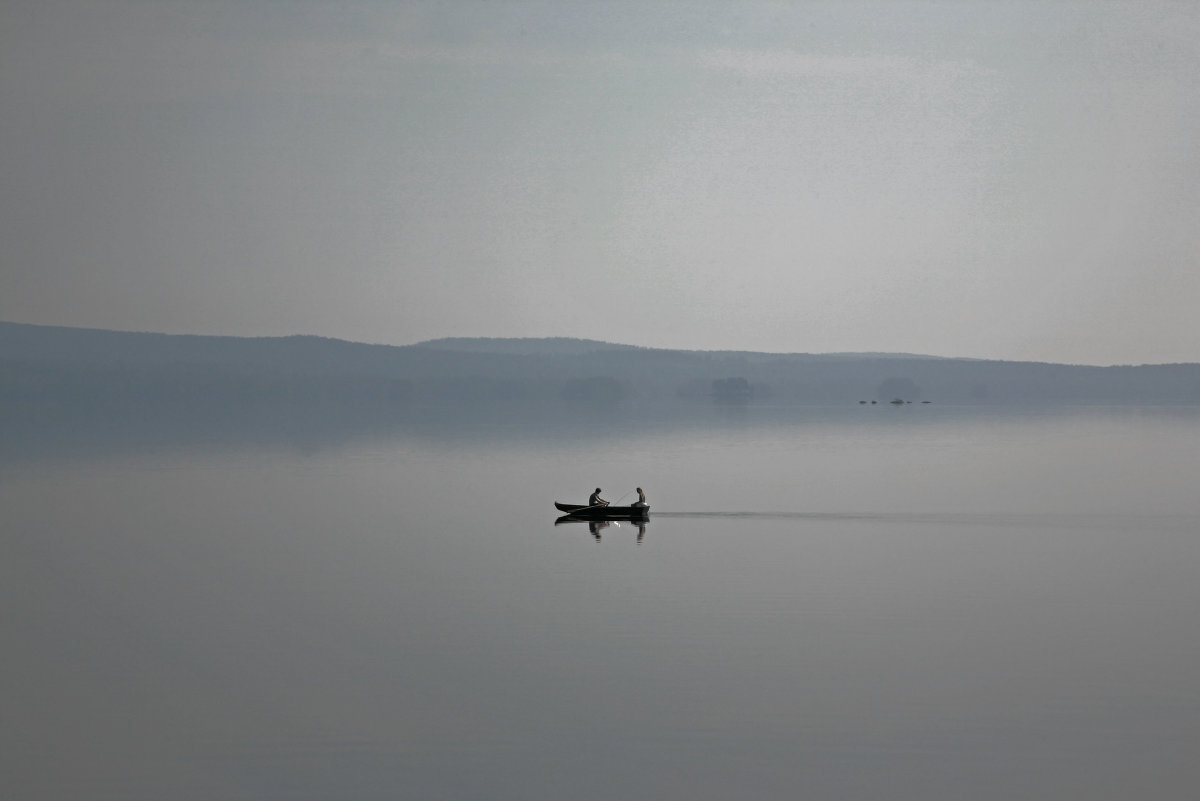 Morning Glory - Dalivar 