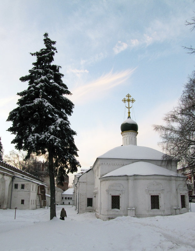 Амвросиевская церковть,у северной стены - Сергей Мягченков