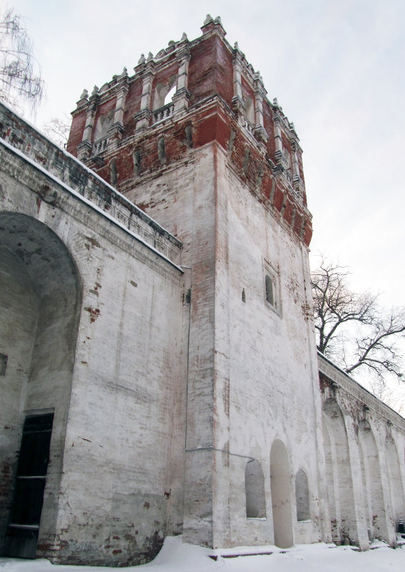 Башня на северной стене - Сергей Мягченков