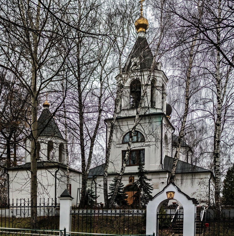 Храм Ризоположения Пресвятой Богородицы в Леонове. - Сергей Басов