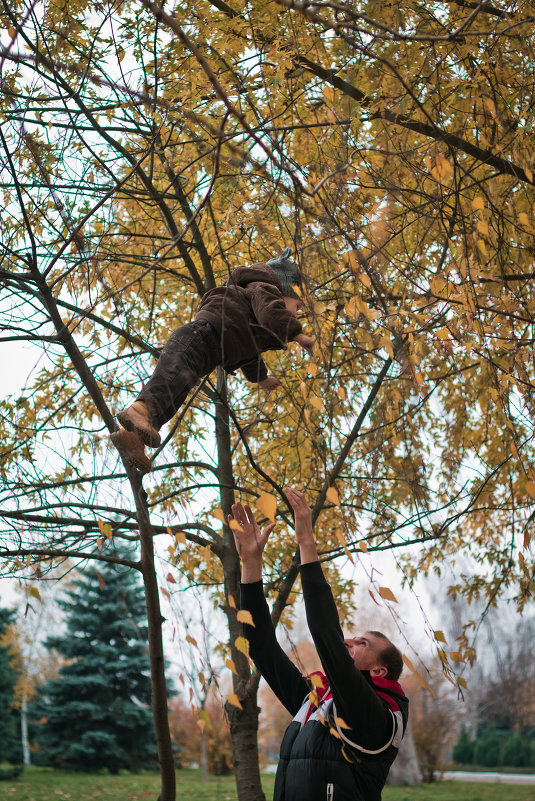 Детей не аисты принося, они на деревьях растут - Svetlana Shumilova