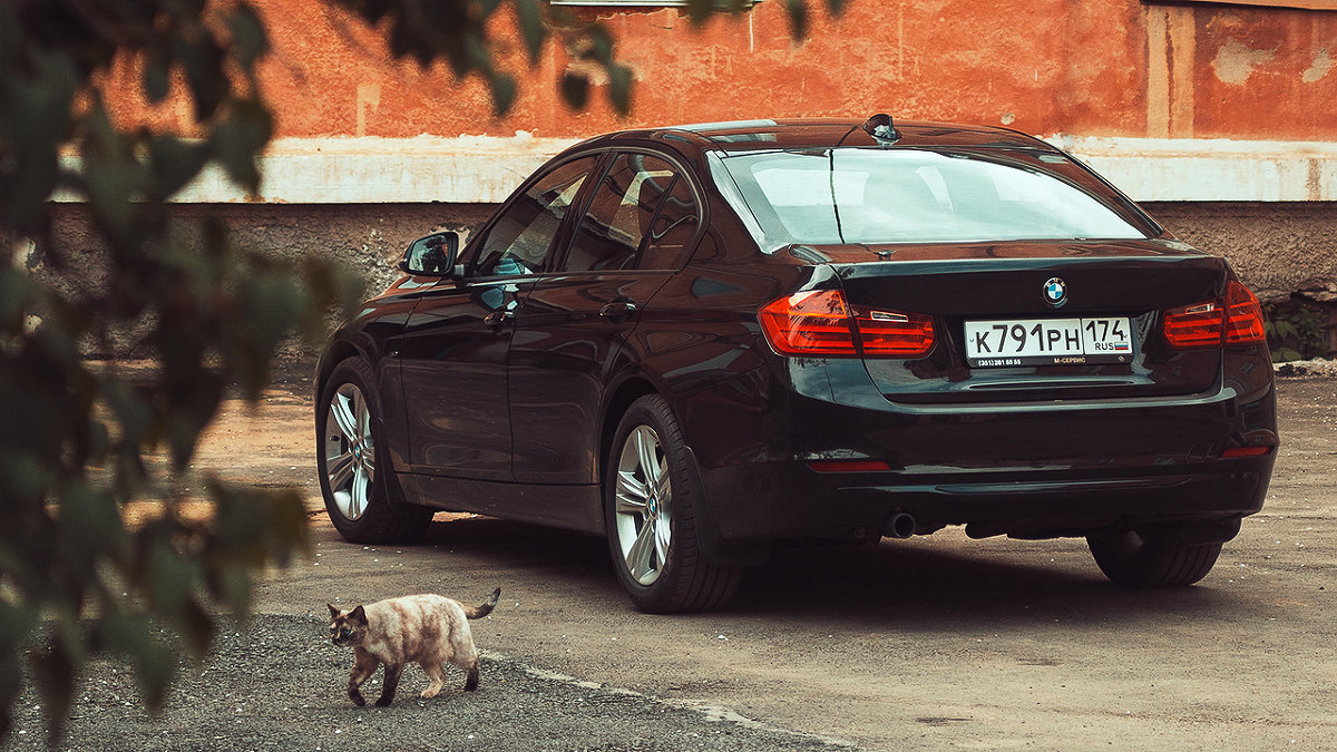 BMW 316i F30 - Валентин Платунов