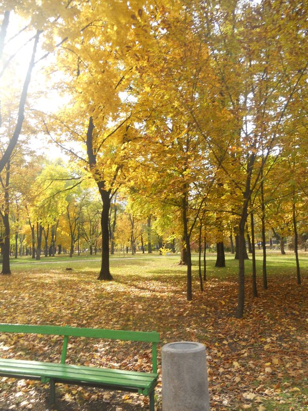 осень в парке - Дарья Неживая