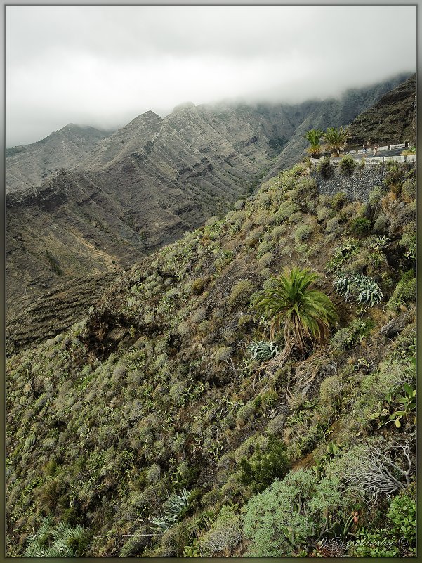 La gomera - Jossif Braschinsky