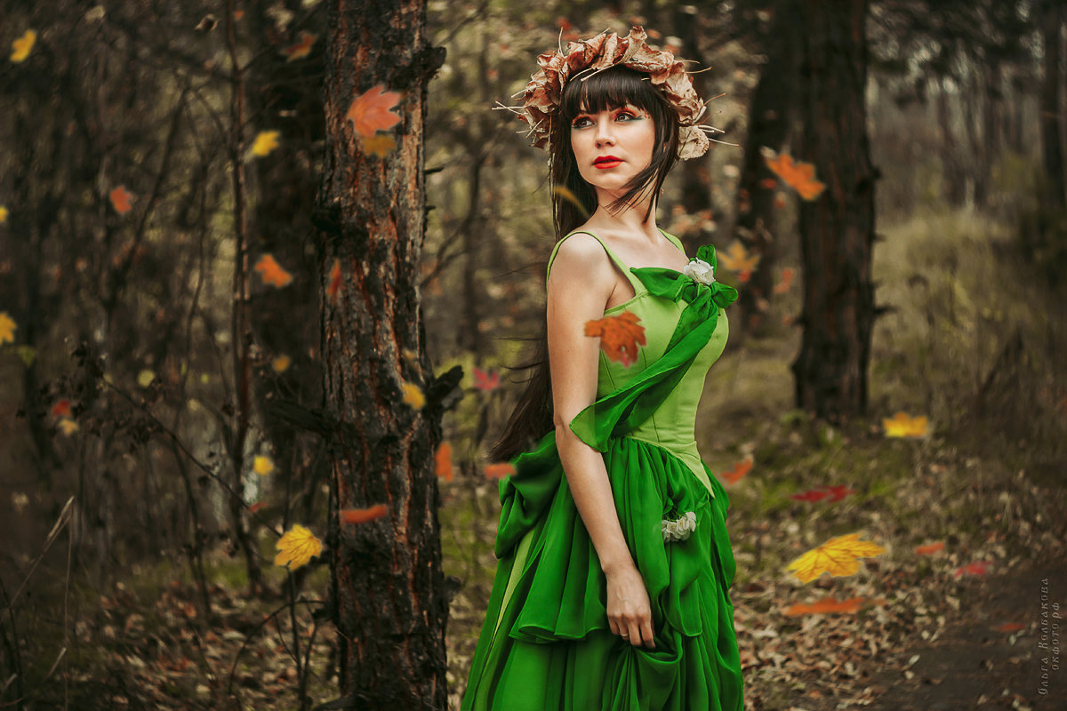 Сказочный лес - Ольга Колбакова