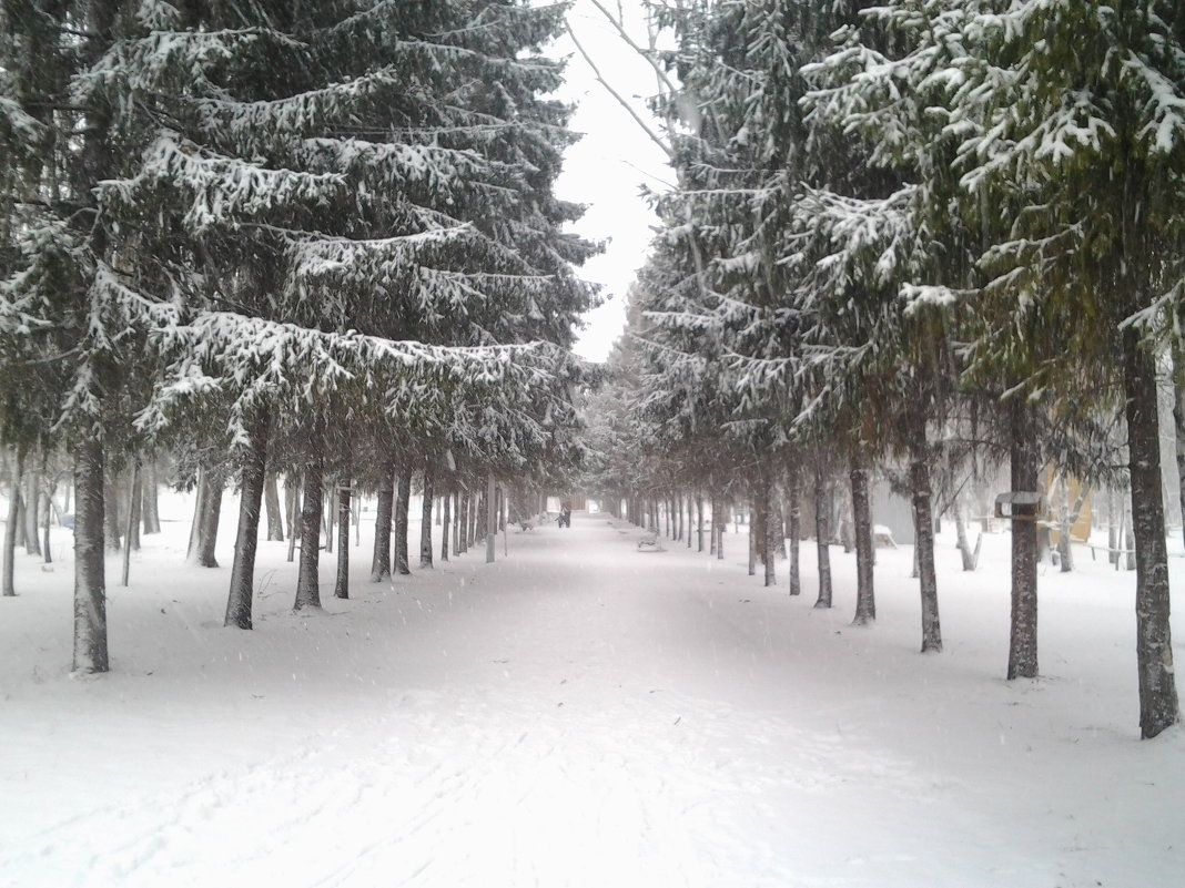 Снежный парк - Илья Абакумов