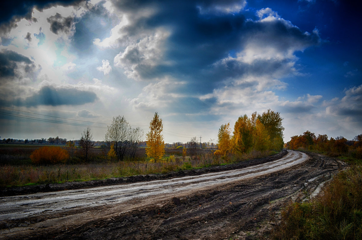 Пойма - Александр Афромеев