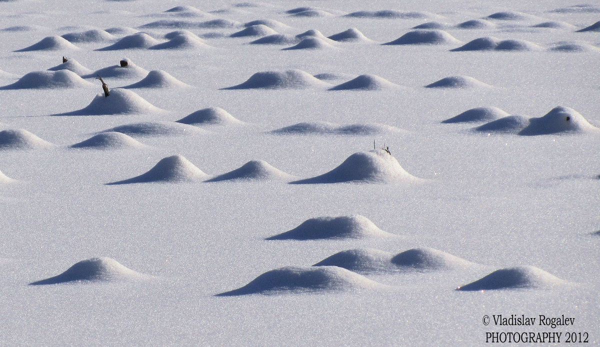 Снежные дюны - Vladislav Rogalev