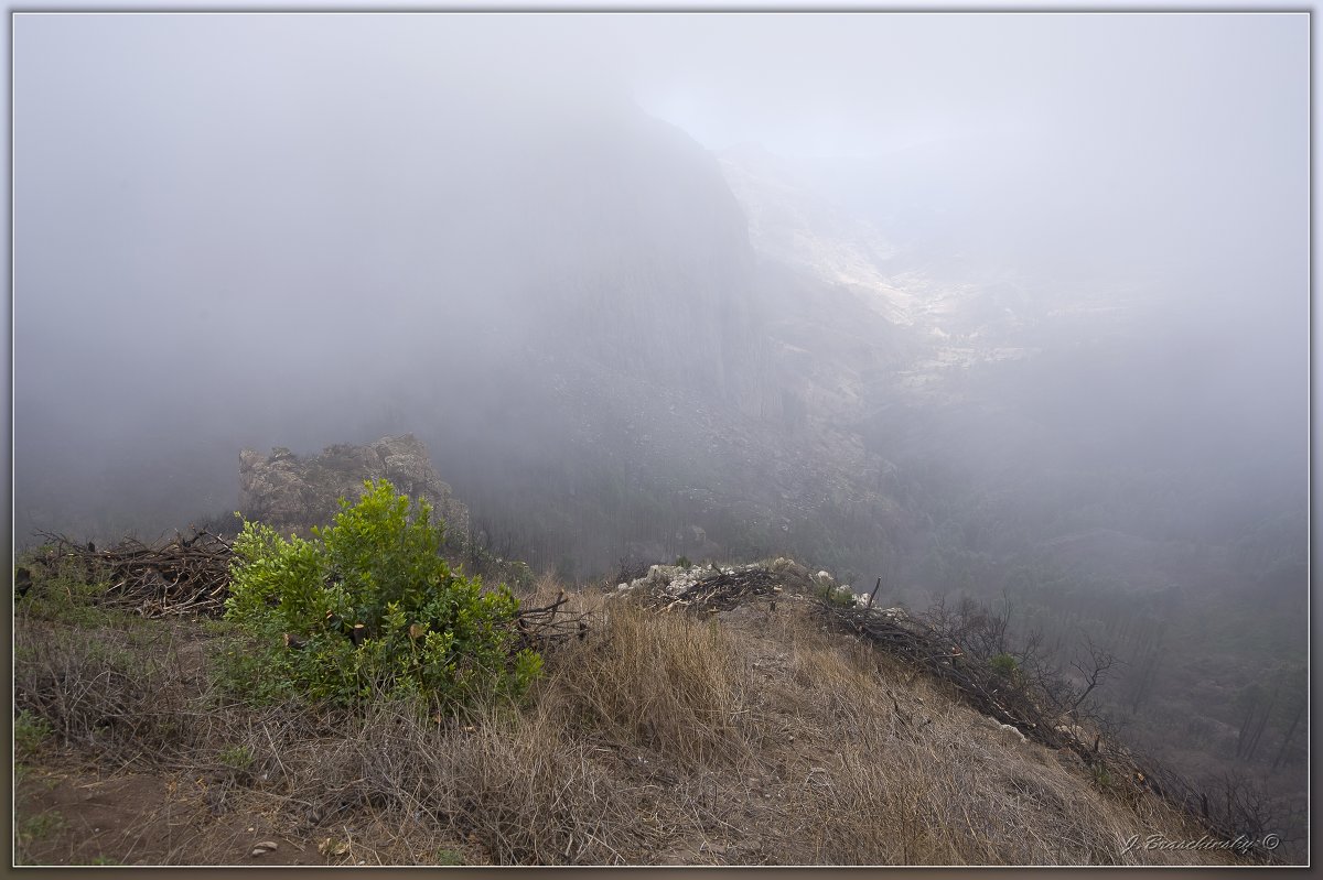 La Gomera - Jossif Braschinsky