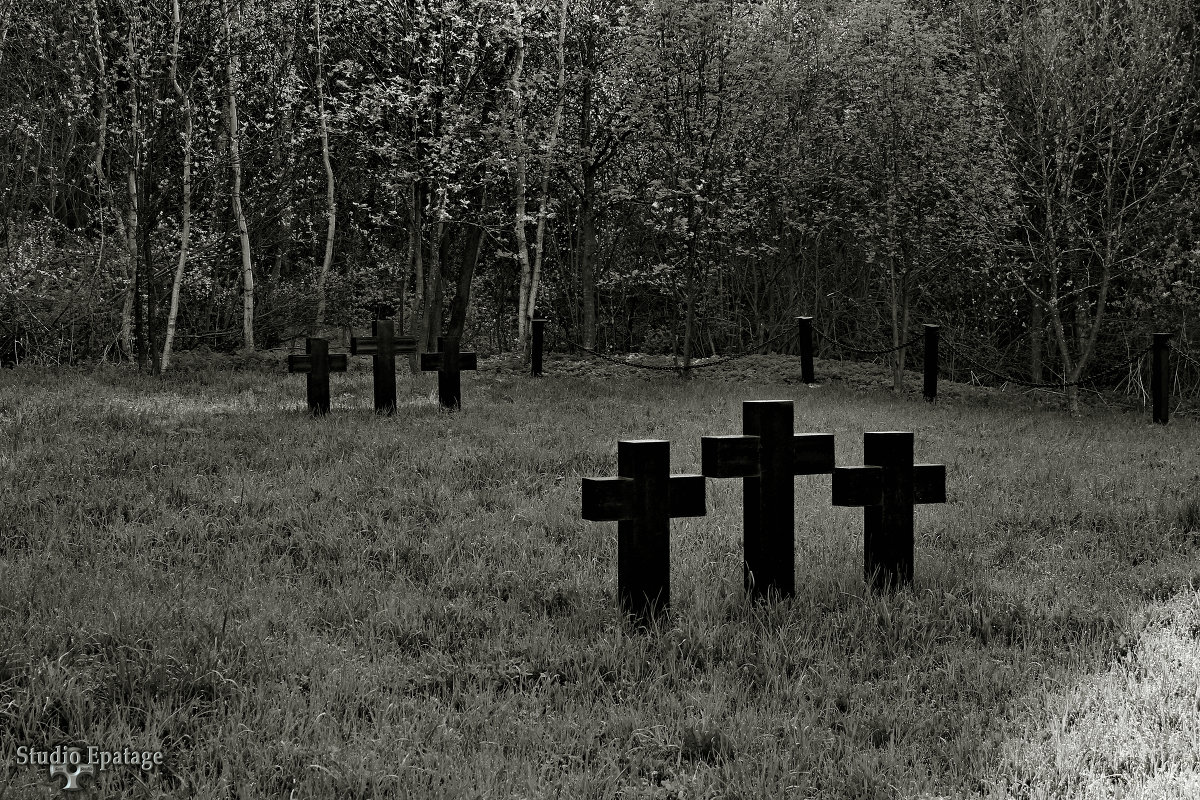 ...Friedhof... - Sergey Ganja