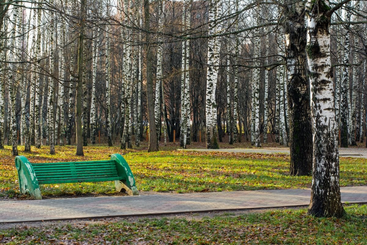 Осень в парке - Natalia Satori