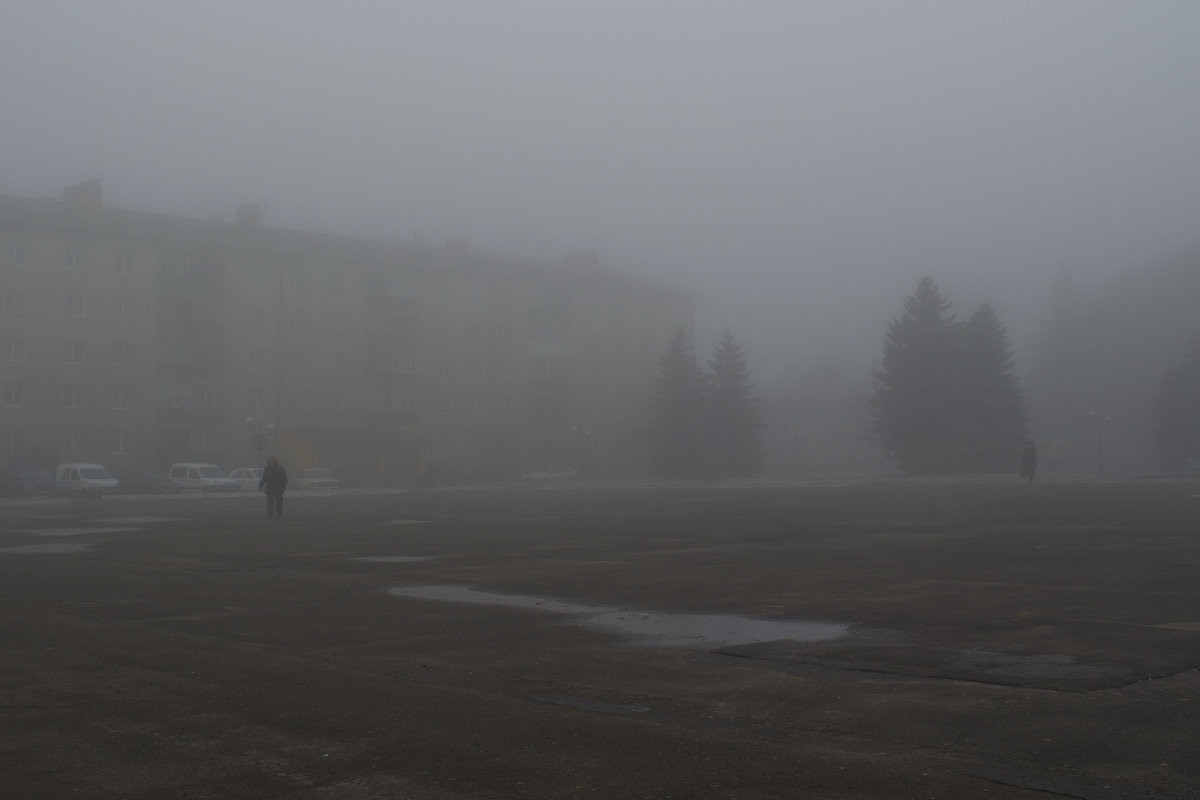 Густой-густой туман - Владимир ЯЩУК