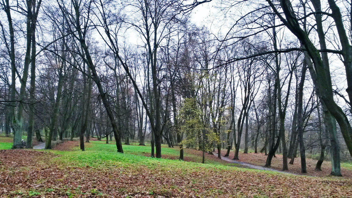 Балтийский парк, Калининград - Екатерина 