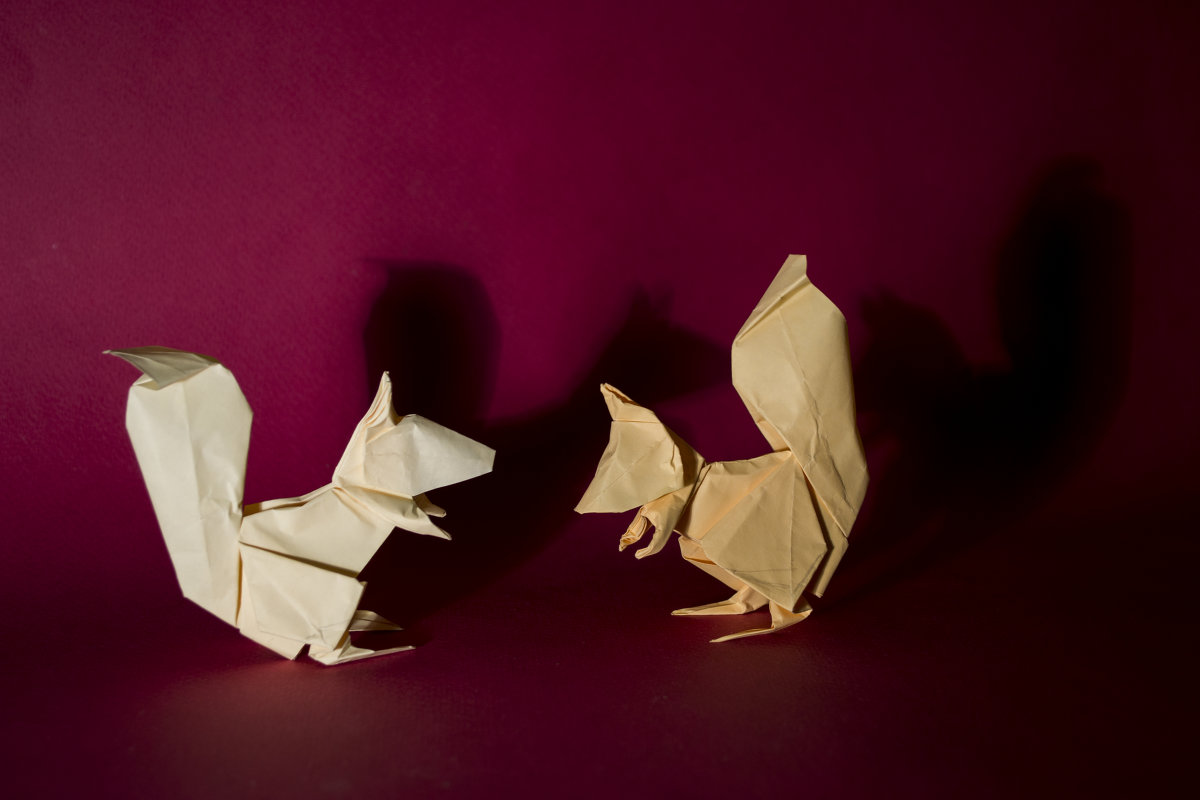 Оригами белки - Богдан Петренко