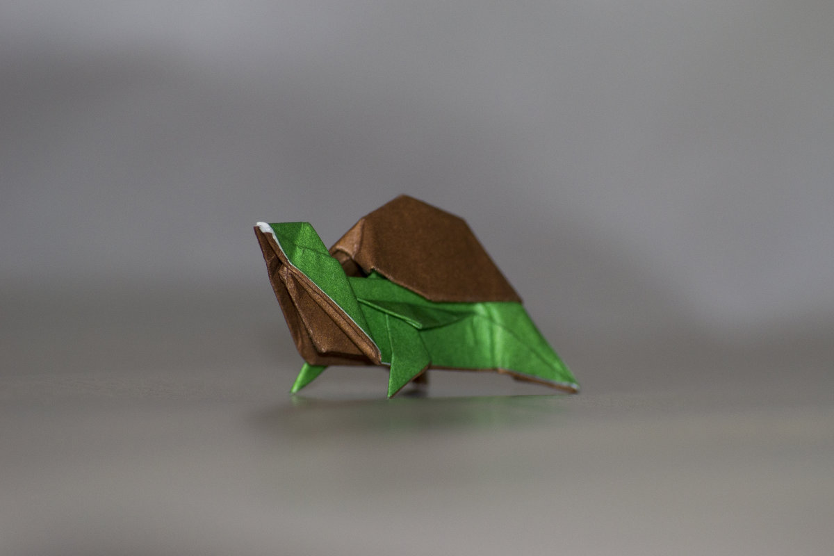 Оригами черепаха - Богдан Петренко