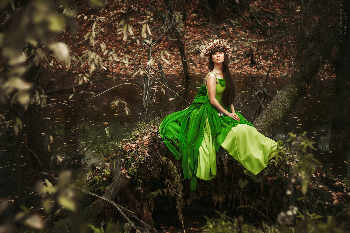 ஜ۩۞۩ஜ Сказочный лес. ஜ۩۞۩ஜ - Ольга Колбакова