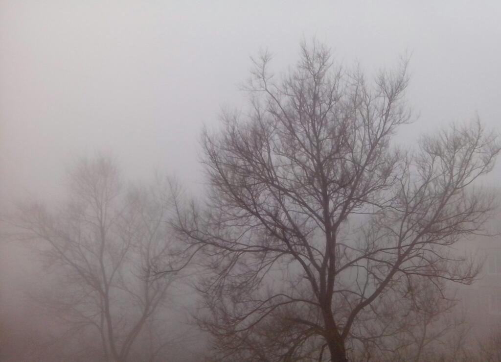 Туманным днём - Павел Заславский
