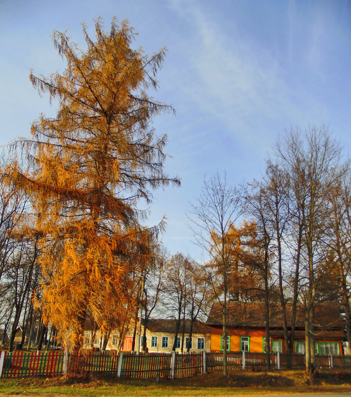 У деревенской школы догорала осень - Владислав Писаревский