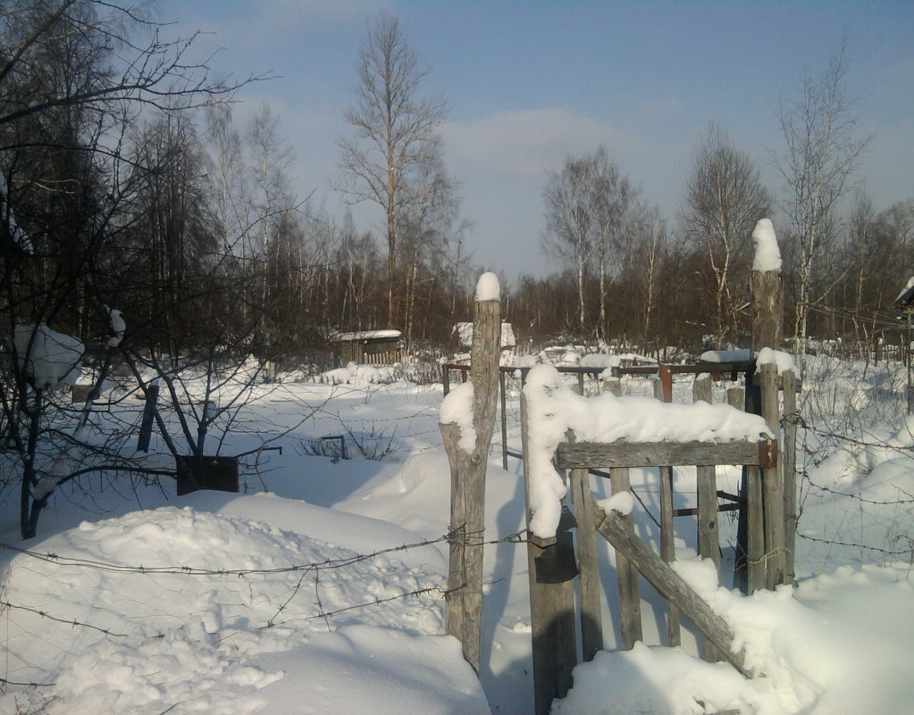 Зима - Андрей 