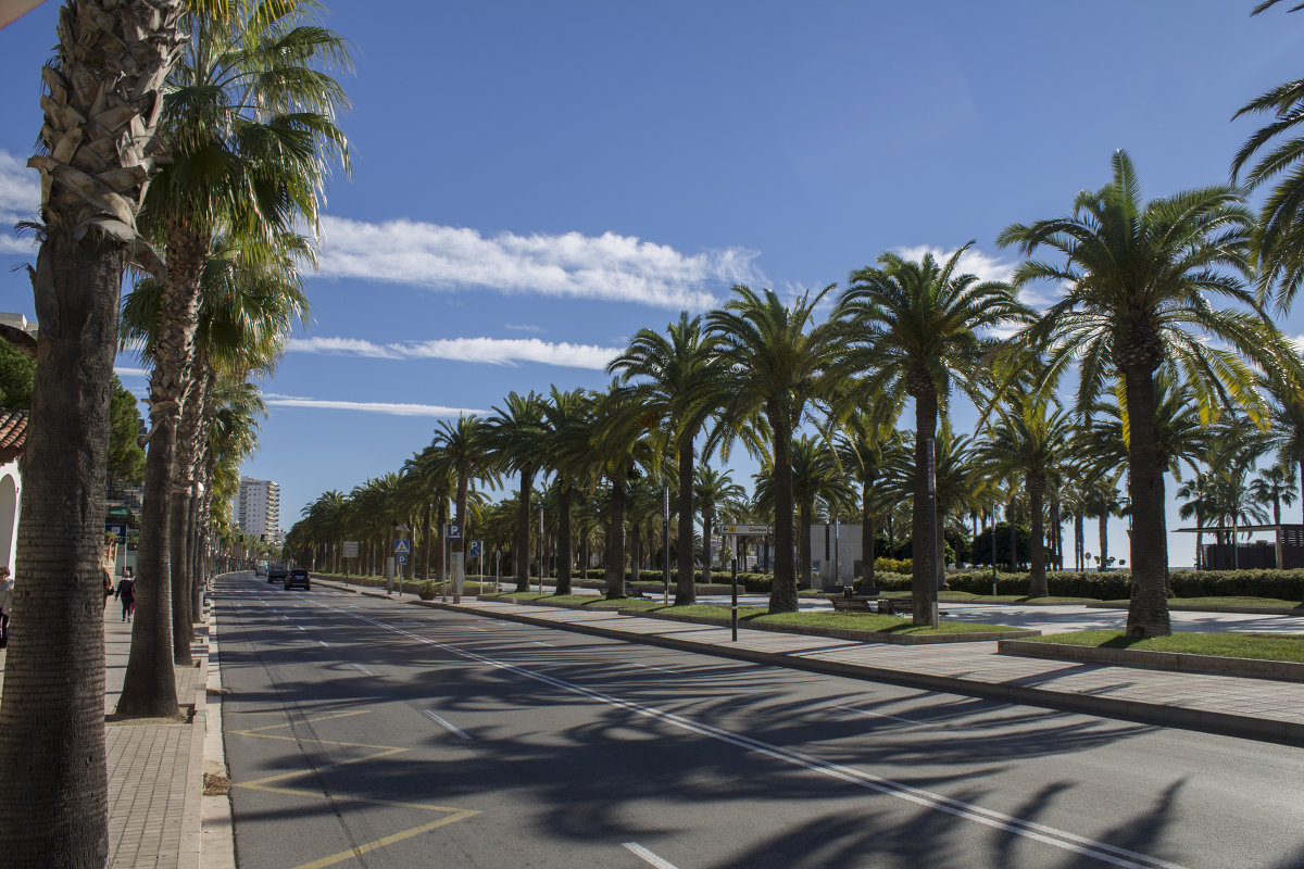 salou bulvar - noanoa delmar 