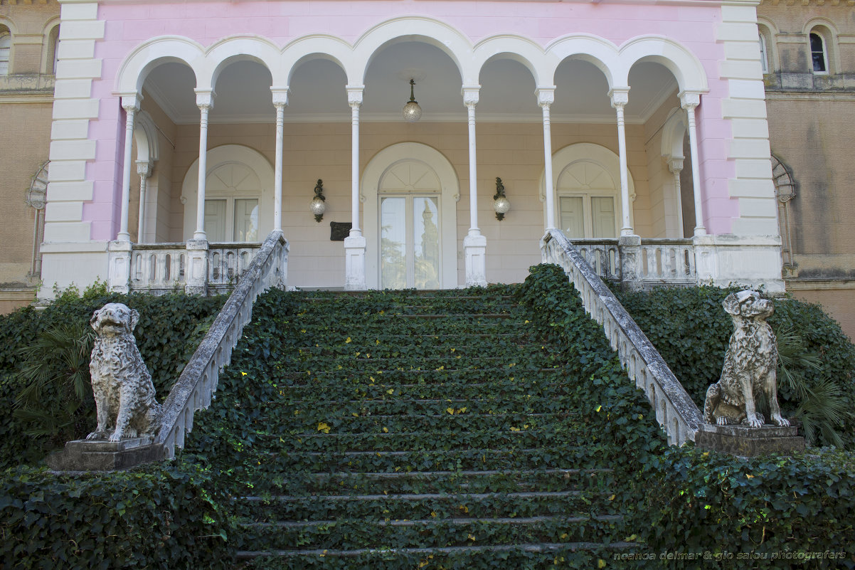 la escalera verde - noanoa delmar 