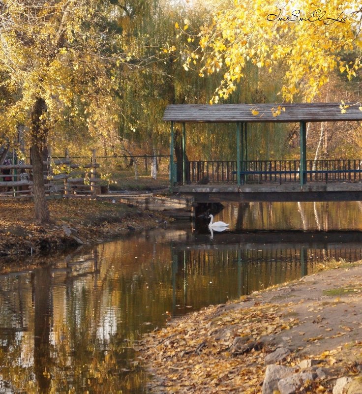 Осень в парке - Елена Сметанина