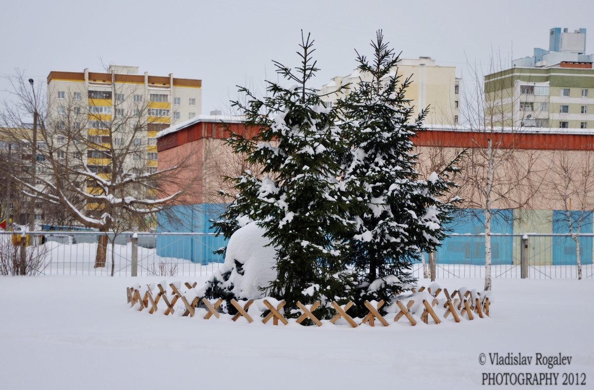 СНЕЖНАЯ ПАНДА В ГОРОДЕ - Vladislav Rogalev