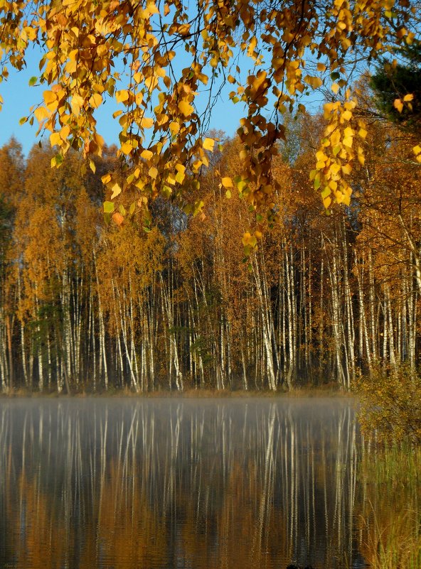 Осень на озере - Юрий Цыплятников