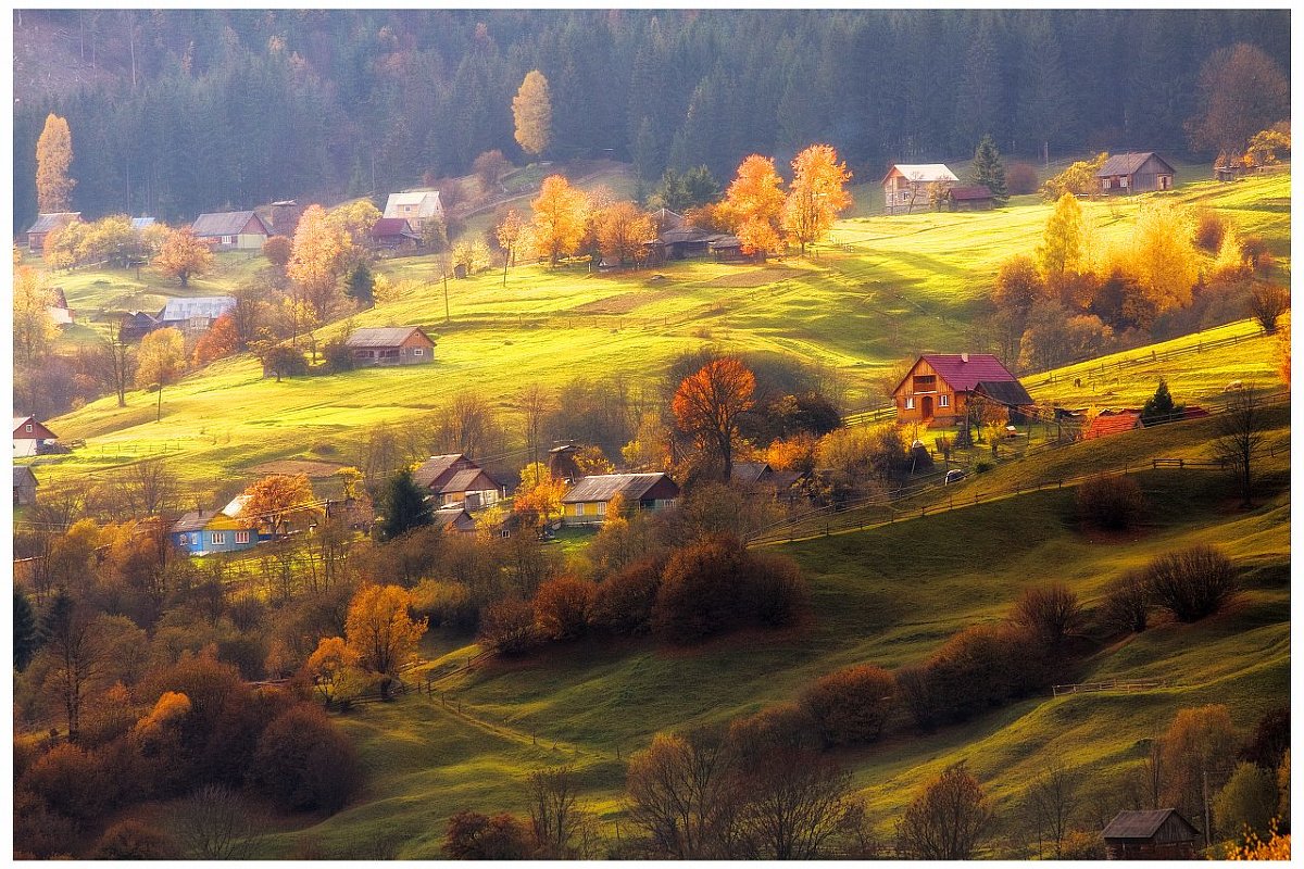 Ясіня - Андрій Кізима