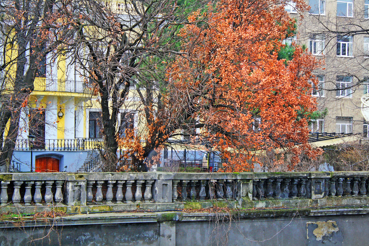 Осень в Одессе. - Виталий Ярко