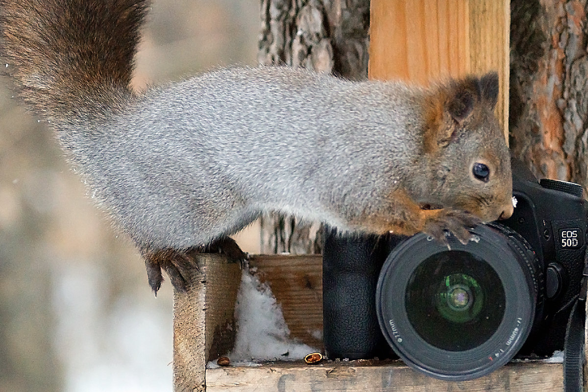 Диафрагму выставил! Сейчас начнем фотосессию!:) - Сергей Черных