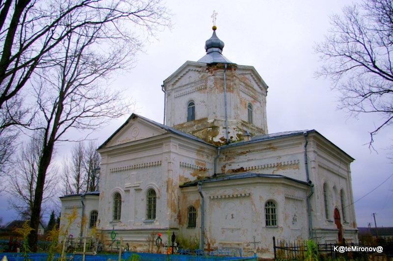 Церковь Рождества Христова 1870-1880 - Екатерина Миронова