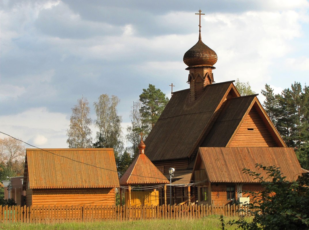 Чудо в дереве - Людмила Жданова