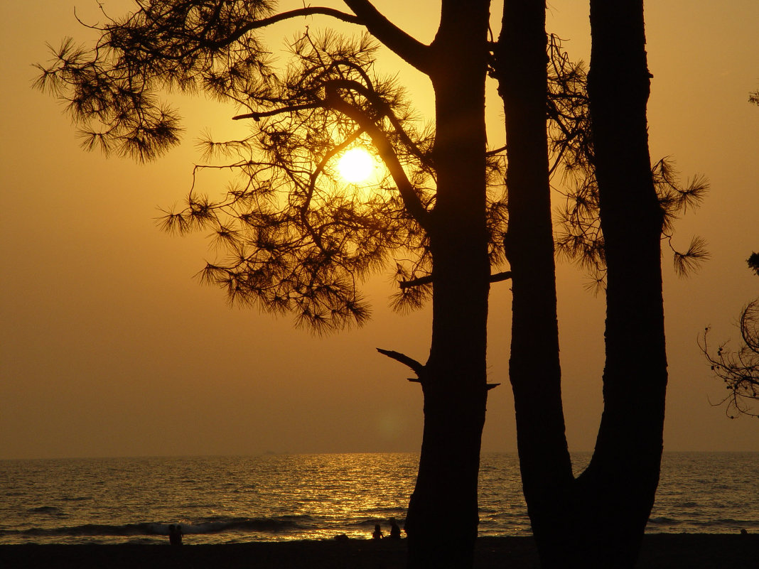 закат на море - Guli Vaar