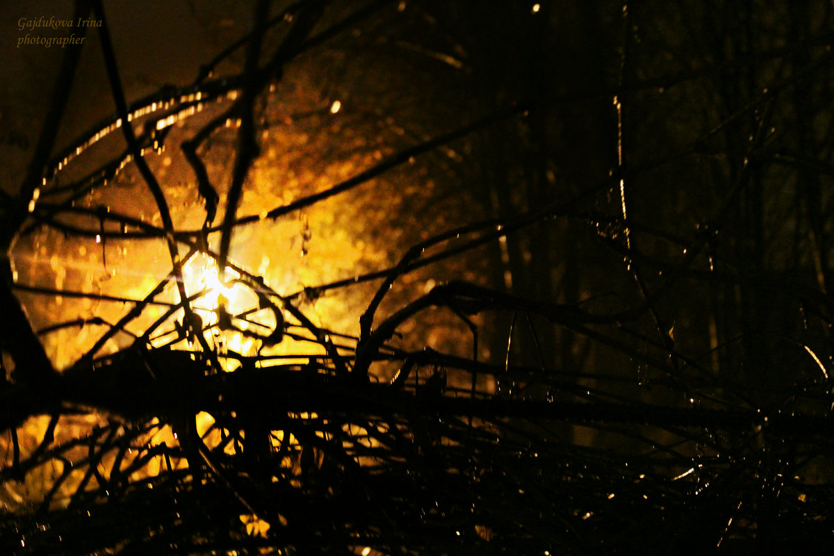 Ночь, дождь, улица, фонарь... - Irina Gajdukova