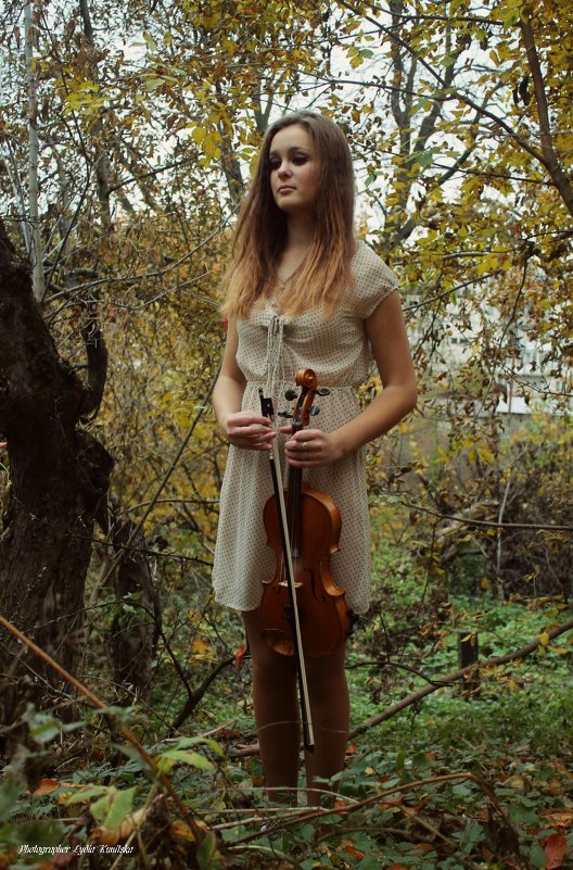 душа скрипки - Лидия 