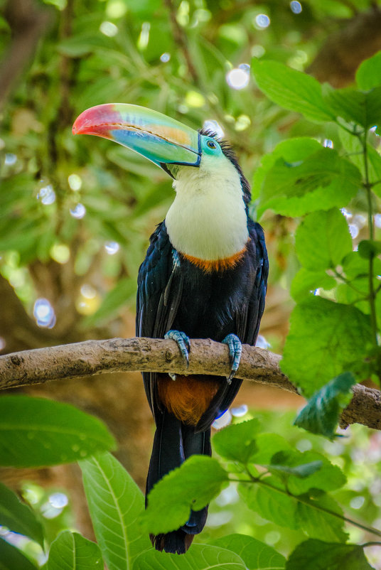 в Terra Natura - Valentina Sizykh