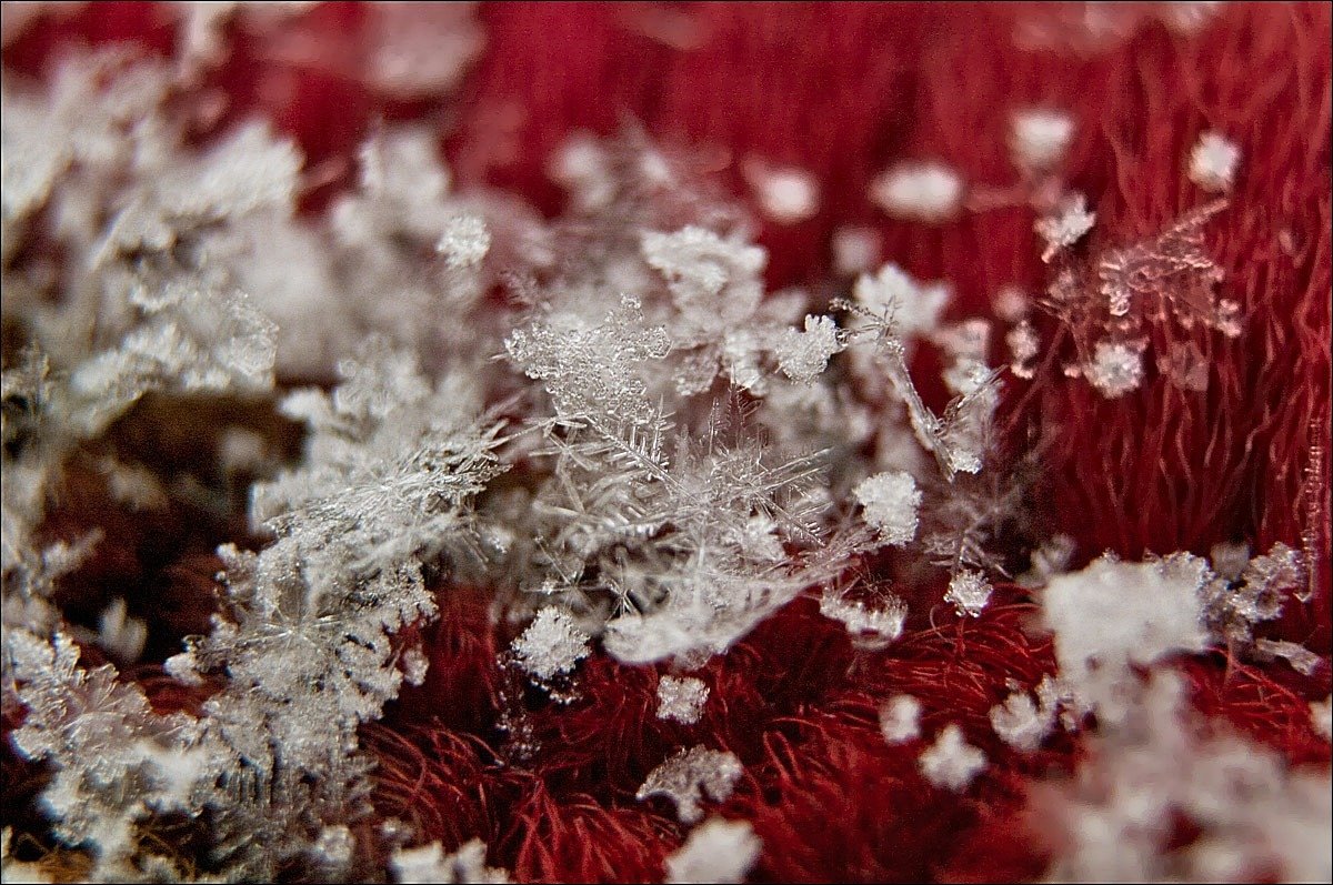 ДНК снеговика - Boris Khershberg