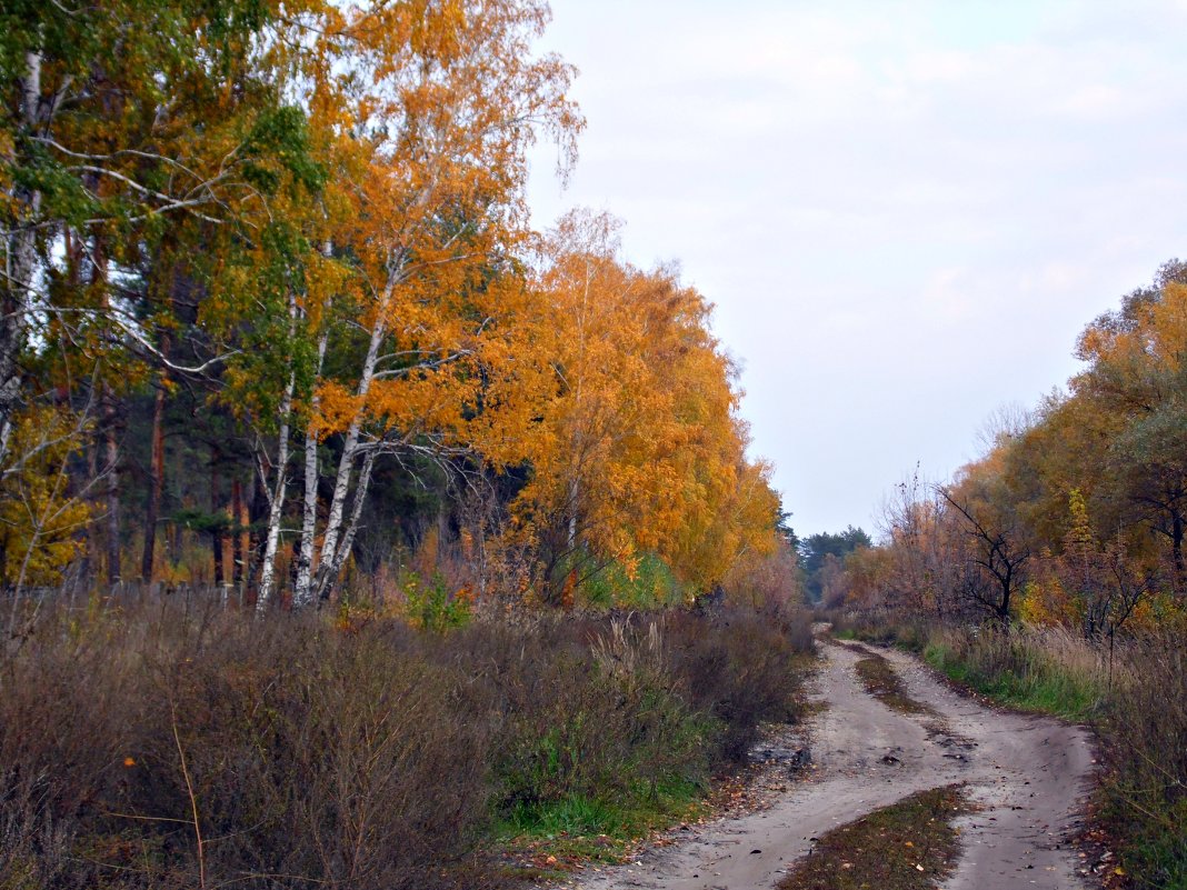 Осень - Виктория Войтович