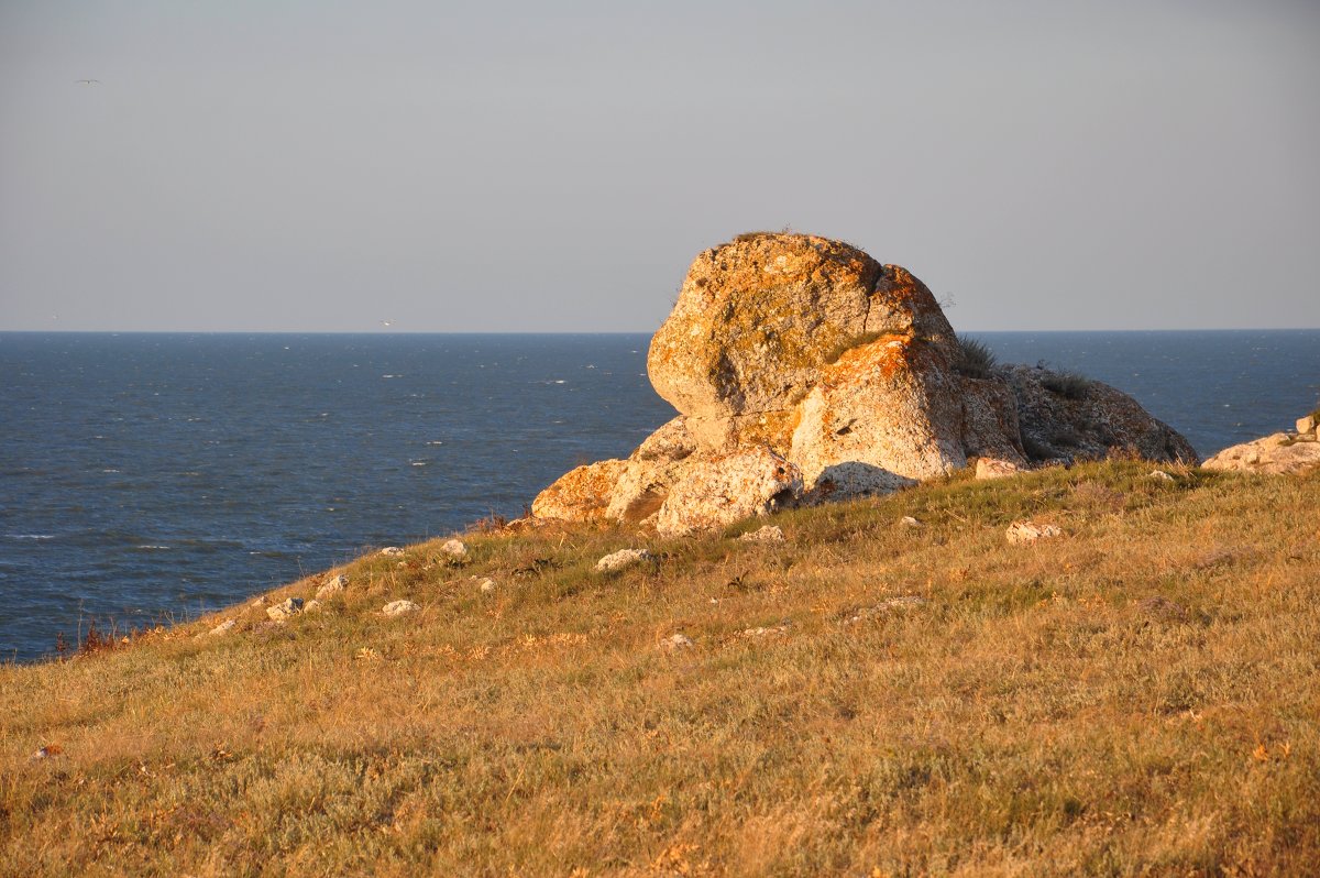 Страж Азовского моря. Сфинкс. - Летечко *