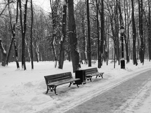 Зима в Царицыно - 3 - Наталья Ткачёва