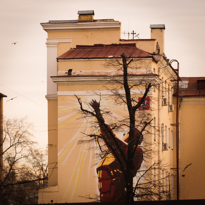 дружба графити и древа - Sergey Samoylov