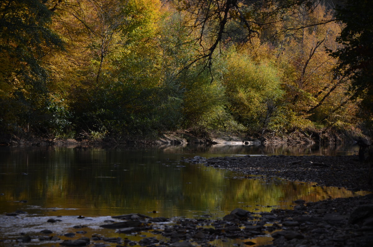 горная река осенью - Надежда Лопатина