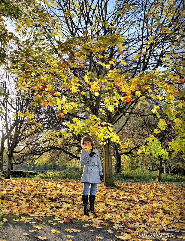 Autumn Park - Boriss Sisojevs