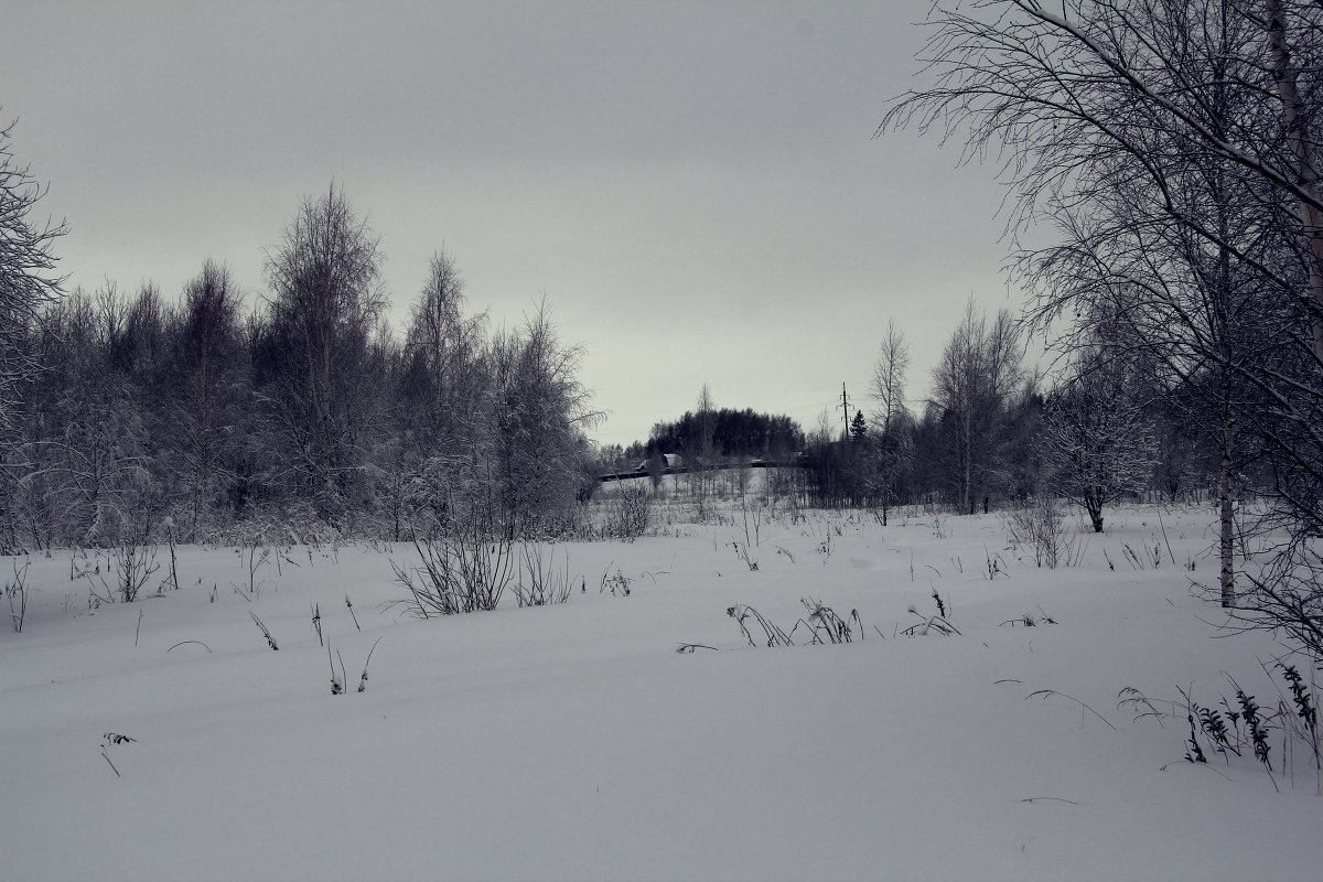 хмурые зимние дня - NastyaCh 