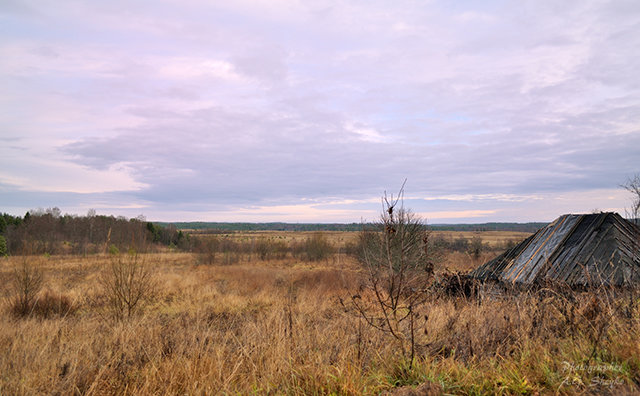 Остатки деревни... - Андрей Шейко
