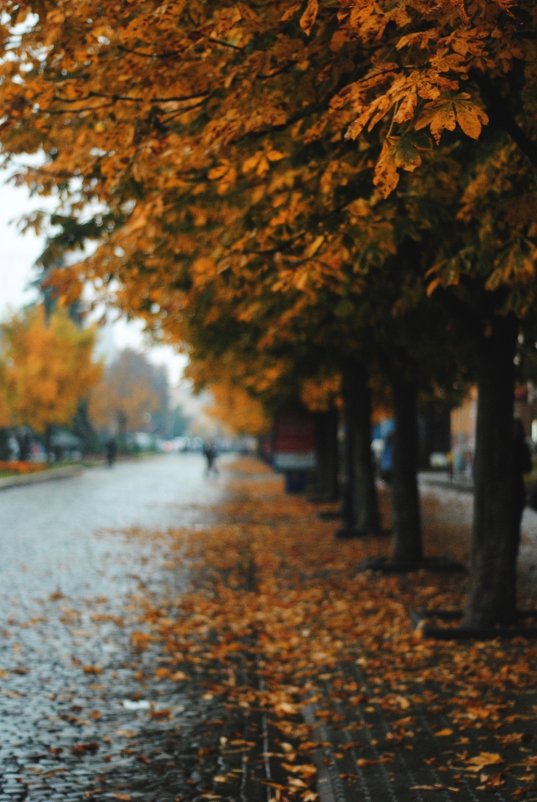 осень в моем городе - Саша Ливень