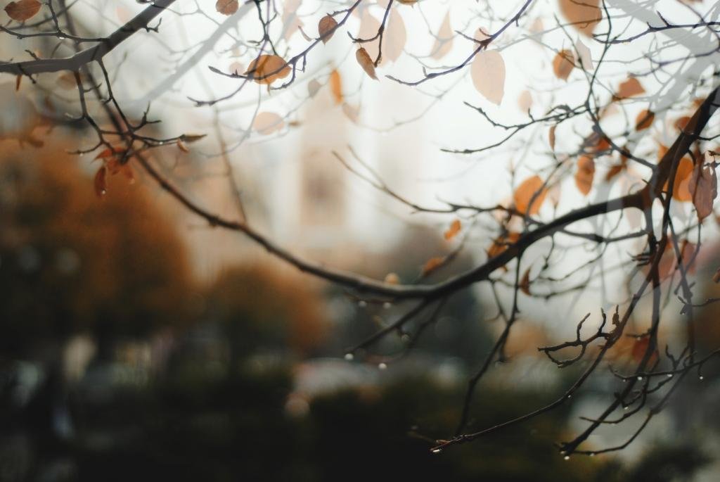 осень шепчет листьями - Саша Ливень